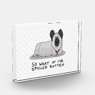 Spoiled Rotten Skye Terrier Dog (silver) Cute Fun Acrylic Award