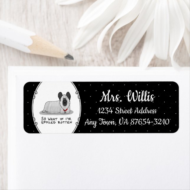 Spoiled Rotten Skye Terrier Dog (silver) Cute Fun Label (Insitu)