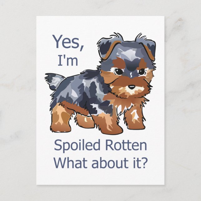 Spoiled Rotten Yorkie Postcard (Front)
