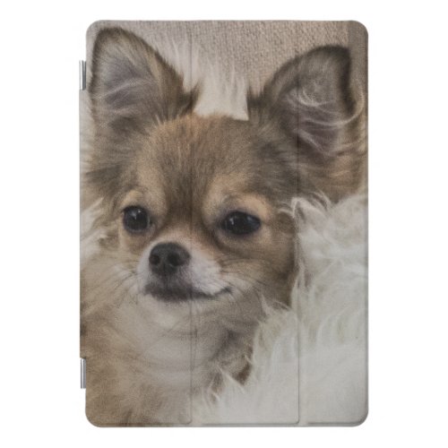 Spoilt Chihuahua Relaxing iPad Pro Cover