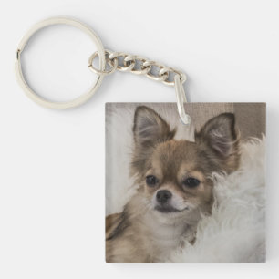 Spoilt Chihuahua Relaxing Keychain