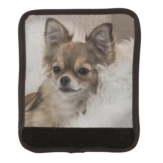 Spoilt Chihuahua Relaxing Luggage Handle Wrap (Front)