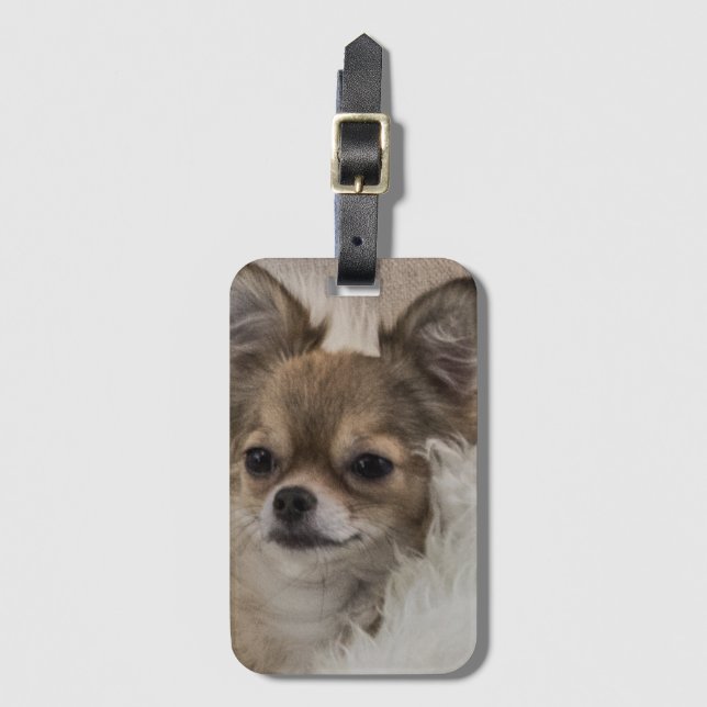 Spoilt Chihuahua Relaxing Luggage Tag (Front Vertical)