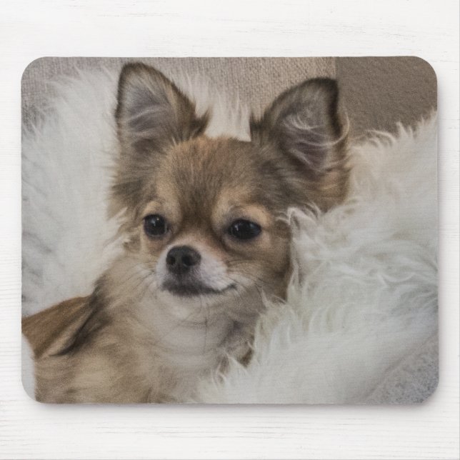 Spoilt Chihuahua Relaxing Mouse Pad (Front)