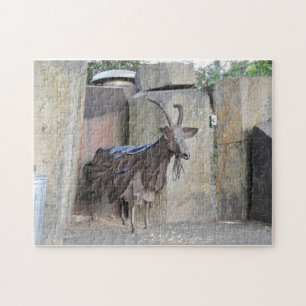 Spokane Garbage Eating Goat Puzzle