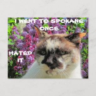 Spokane? Hated It Postcard