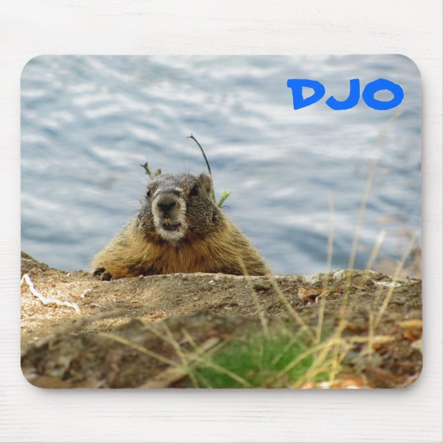 Spokane Marmot says, "Sup? Got a carrot?" Mouse Pad (Front)
