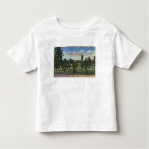 Spokane, Washington - Upper Terrace Toddler T-shirt