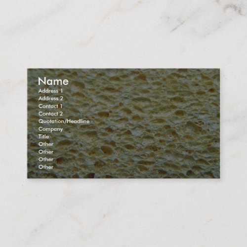Sponge Business Card