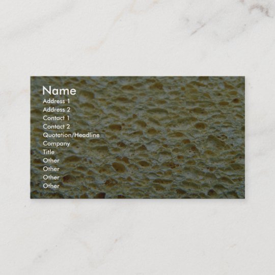 Sponge Business Card | Zazzle.com