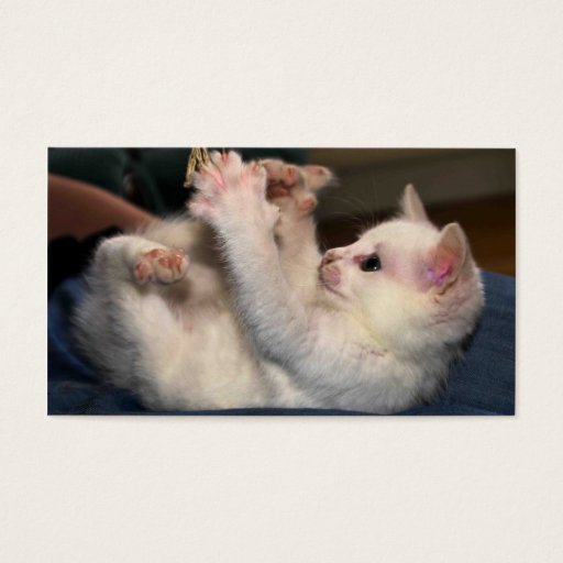 Customizable spooks 8 business card template