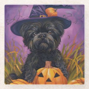 Spooky Affenpinscher Halloween Witch and Pumpkin Glass Coaster