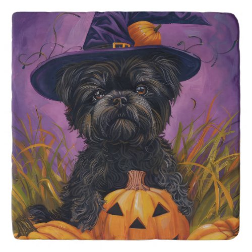 Spooky Affenpinscher Halloween Witch and Pumpkin Trivet