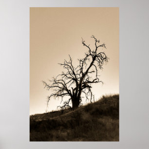 Spooky Autumn Oak Tree Poster
