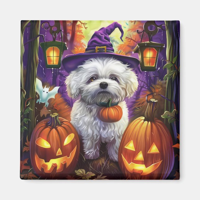 Spooky Bichon Frise Halloween Witch And Pumpkin Magnet (Front)