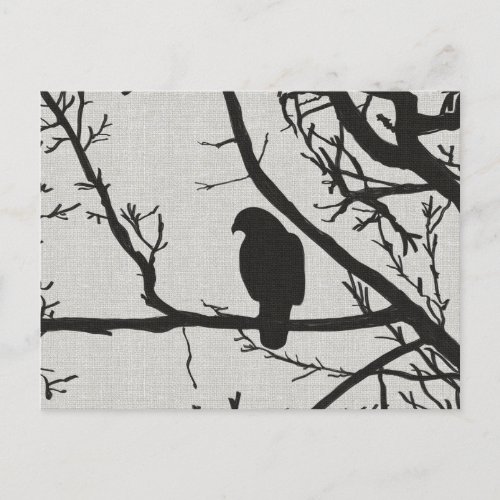 Spooky Black Bird Perched On Tree Silhouette  Postcard