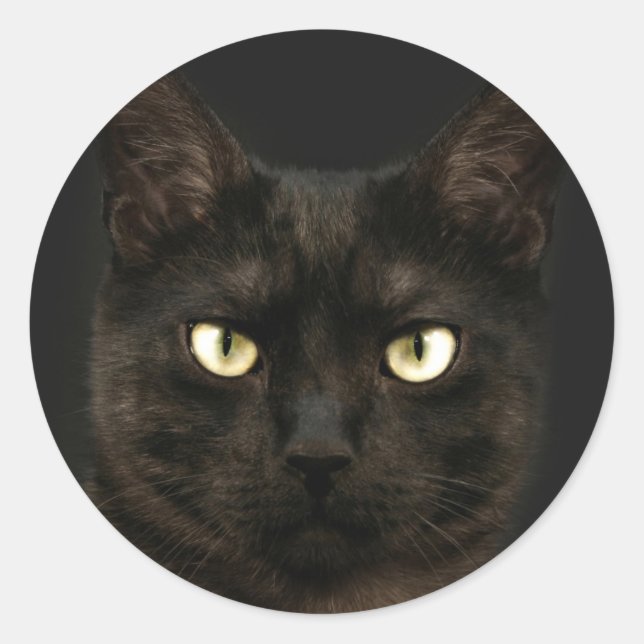 Spooky black cat classic round sticker (Front)