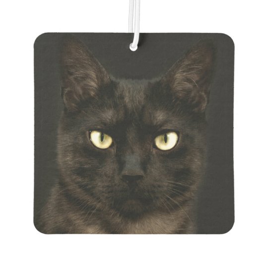 Spooky black  cat  face car air  freshener  Zazzle com