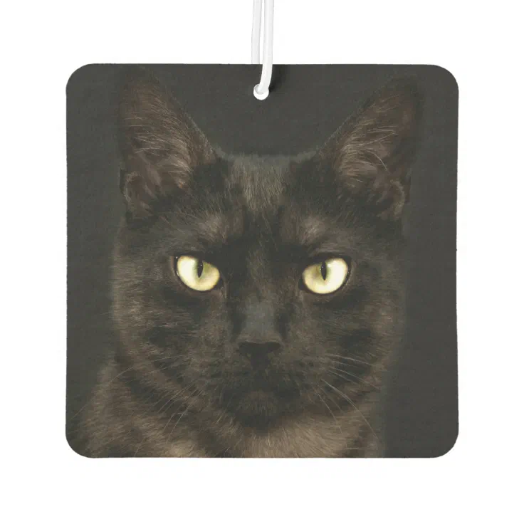 Spooky black cat face car air freshener Zazzle