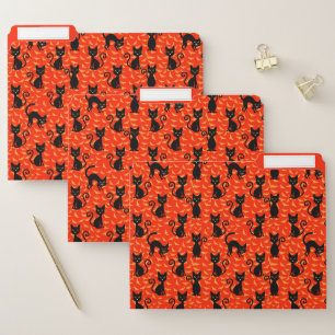 Spooky Black Cat Halloween Orange Bats File Folder