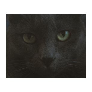 Spooky Black Cat With Green Eyes Wood Wall Art