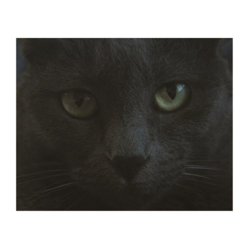 Spooky Black Cat With Green Eyes Wood Wall Art
