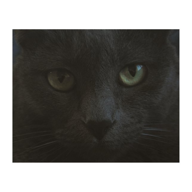 Spooky Black Cat With Green Eyes Wood Wall Art (Front)
