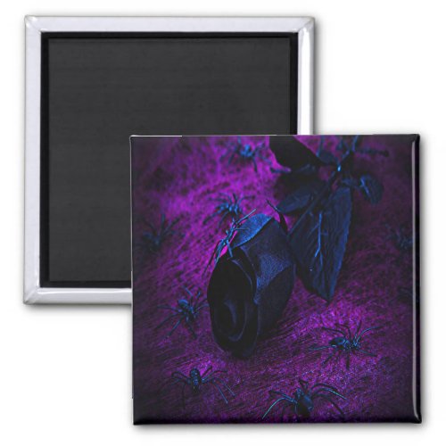 Spooky Black Material Rose Black Spiders Magnet