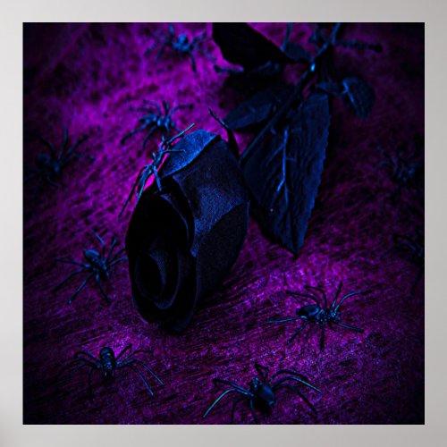 Spooky Black Material Rose Black Spiders Poster