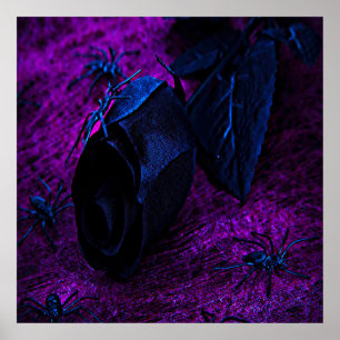 Spooky Black Material Rose, Black Spiders Poster