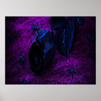 Spooky Black Material Rose, Black Spiders Poster