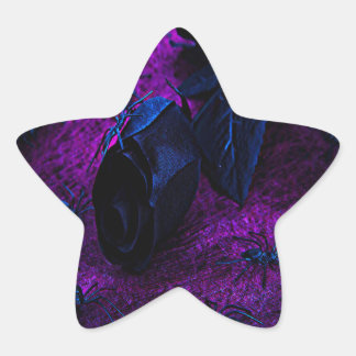Spooky Black Material Rose, Black Spiders Star Sticker
