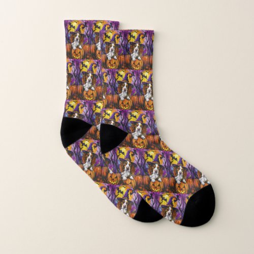 Spooky Brittany Spaniel Halloween Witch Pumpkin  Socks