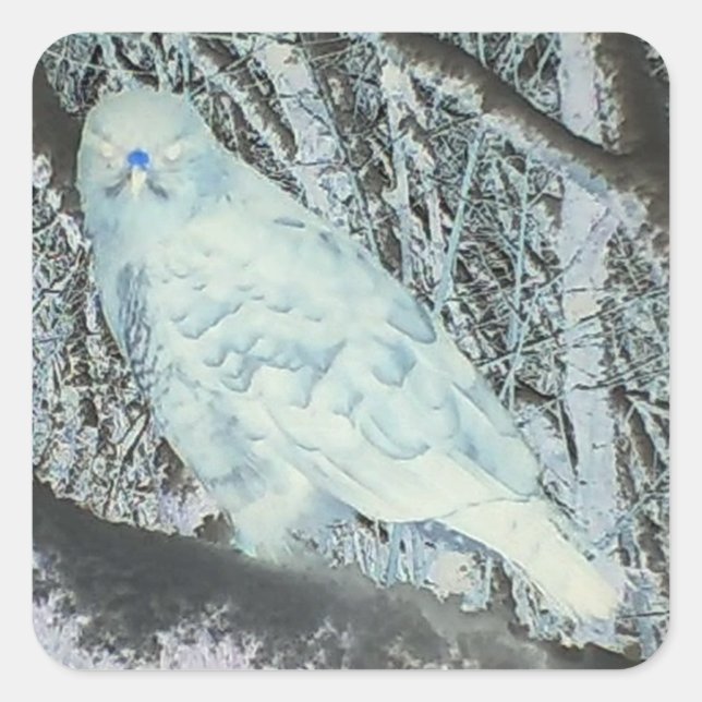 Spooky Buzzard on Branch  Square Sticker (Front)