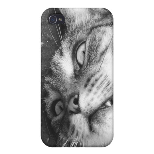 Spooky cat iPhone 4/4S cases