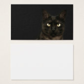 spooky cat profile card (Front & Back)