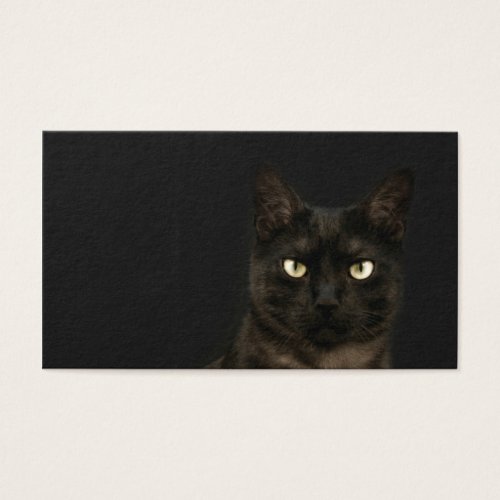 spooky cat profile card business cards