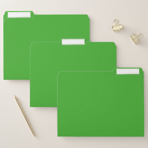 Spooky Colors - Bright Green File Folders