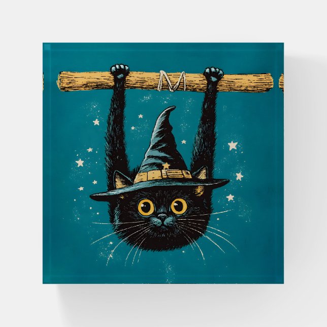 Spooky Flying Black Cat Witch Paperweight (Front)