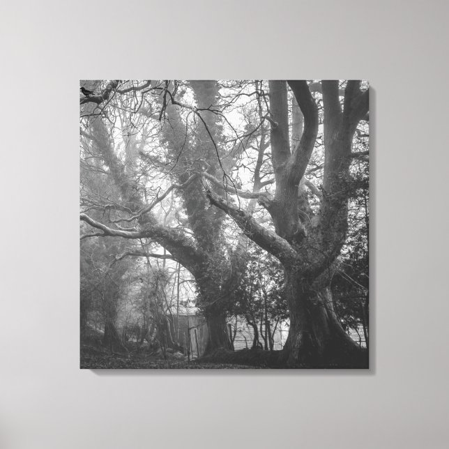 Spooky Forest Black and White Photography Canvas Print (Front)
