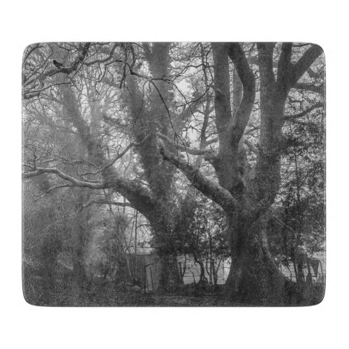 Spooky Forest Black and White Photography Cutting Board