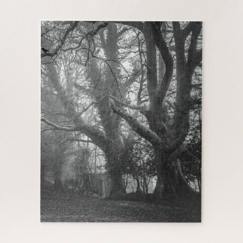 Spooky Forest Black and White Photography Jigsaw Puzzle