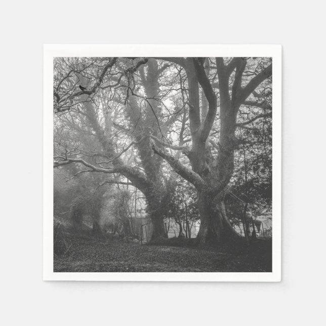 Spooky Forest Black and White Photography Napkins (Front)