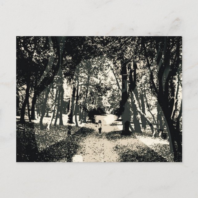 Spooky ghost in the woods image postcard (Front)