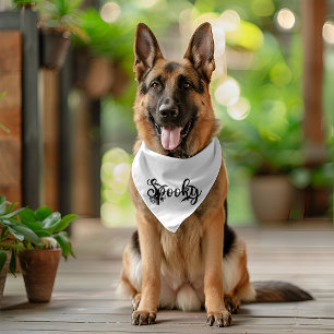 Spooky Halloween Gift Pet Bandana Collar