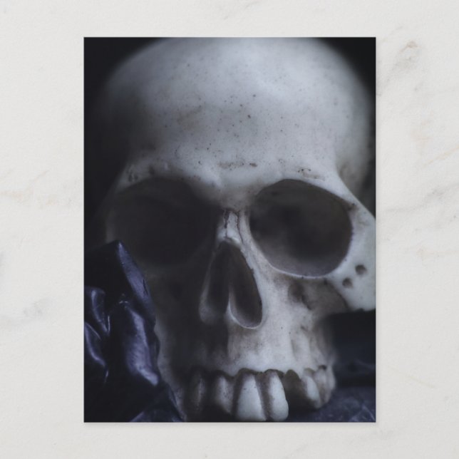 Spooky Human Skull Grim Black White Photography Postcard (Front)