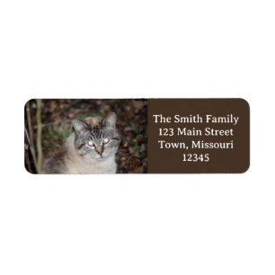 Spooky Label