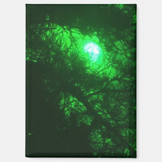 Spooky Midnight Forest Magnet (Front)