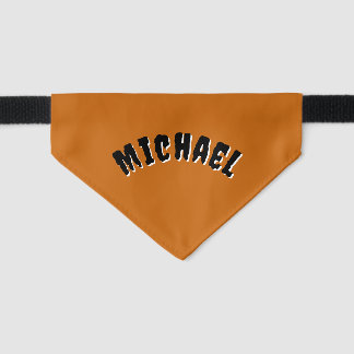 Spooky Name Pet Bandana (Orange & Black) Collar