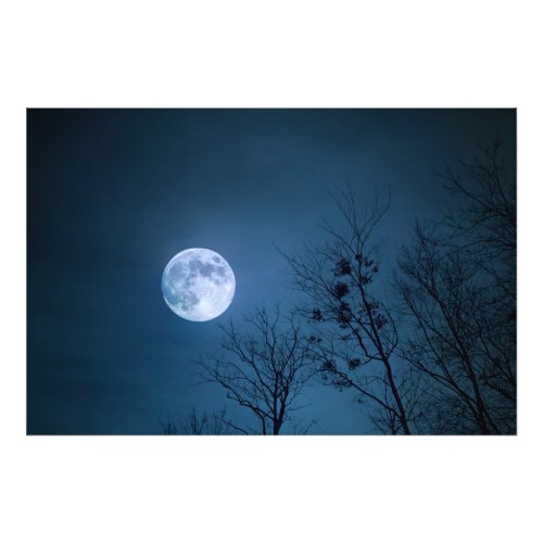 Spooky Night Sky with barren trees and full moon Photo Print